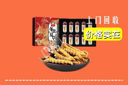 玉树州回收虫草