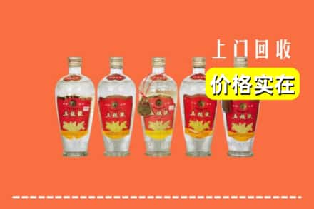 玉树州回收老五粮液